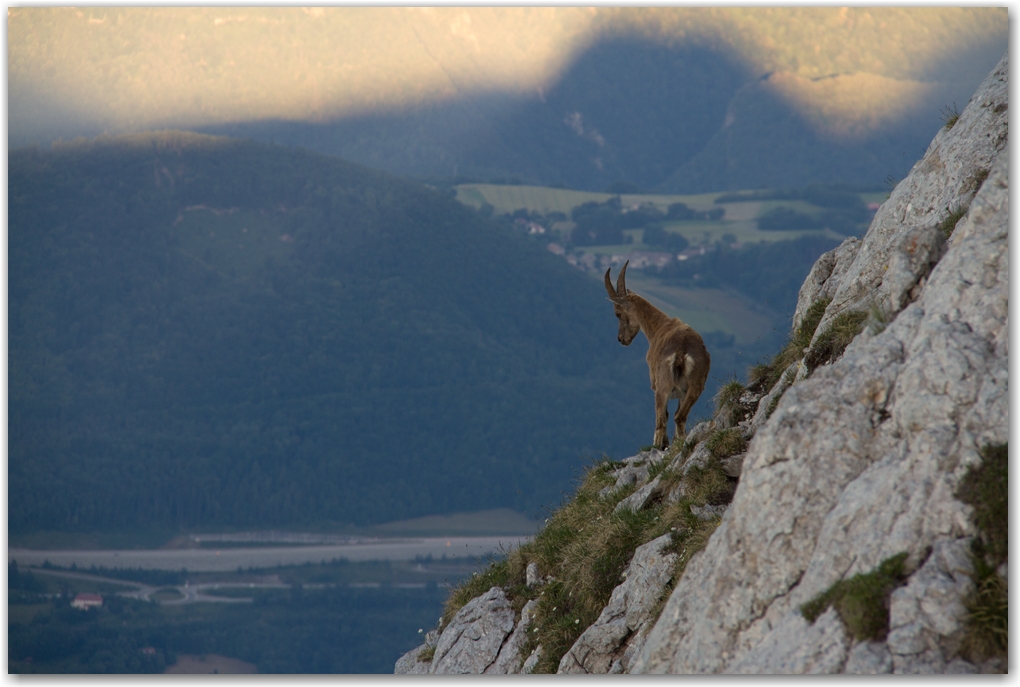 les acrobates du Vercors