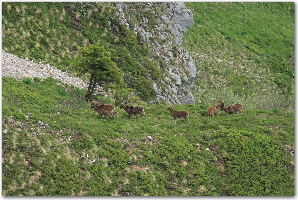 lumière inespérée au col de l'Arc