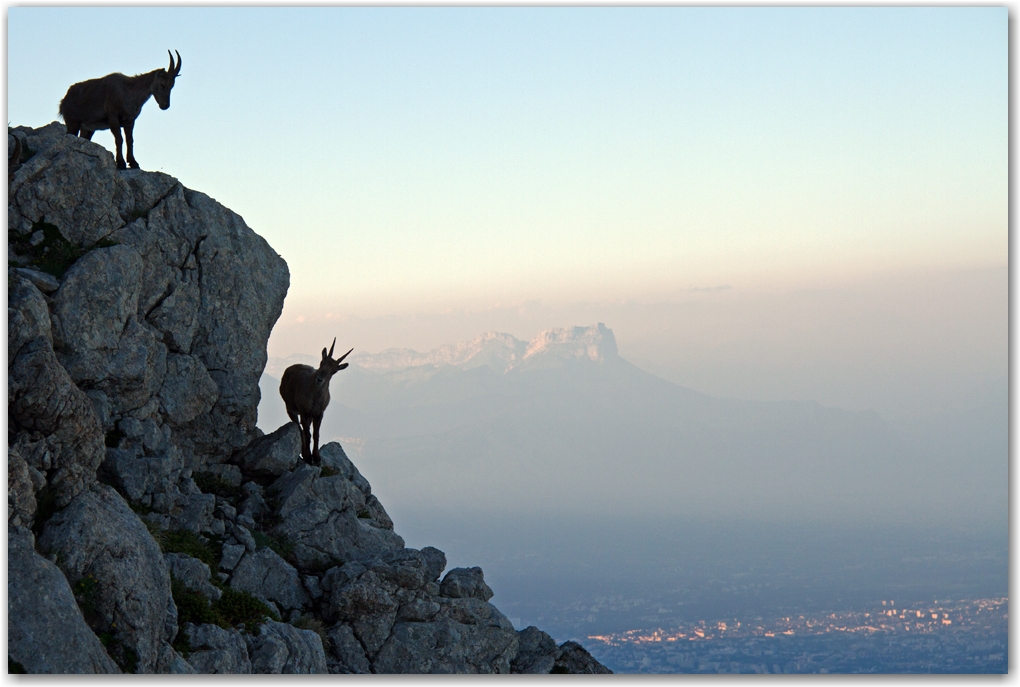 les acrobates du Vercors