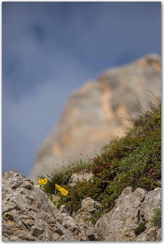 un matin dans le vercors...