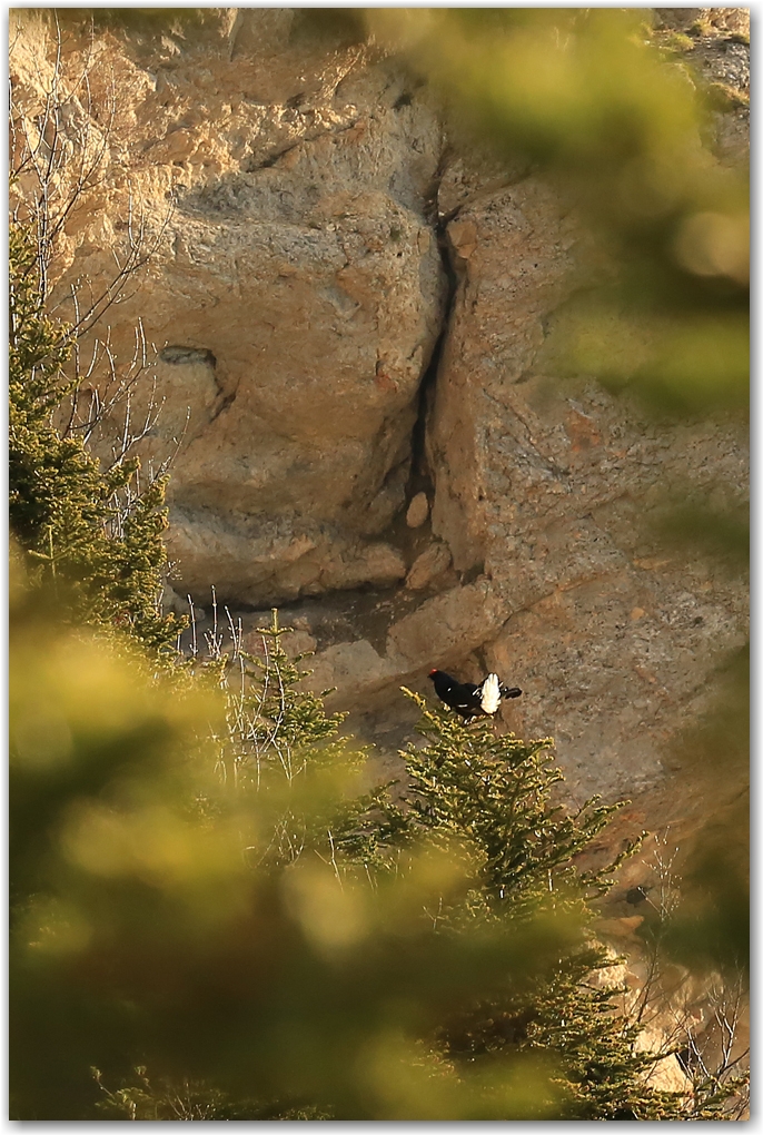 un matin dans le vercors...