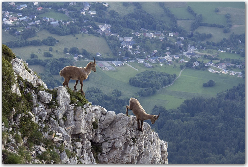 les acrobates du Vercors