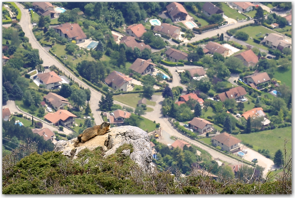 un matin dans le vercors...