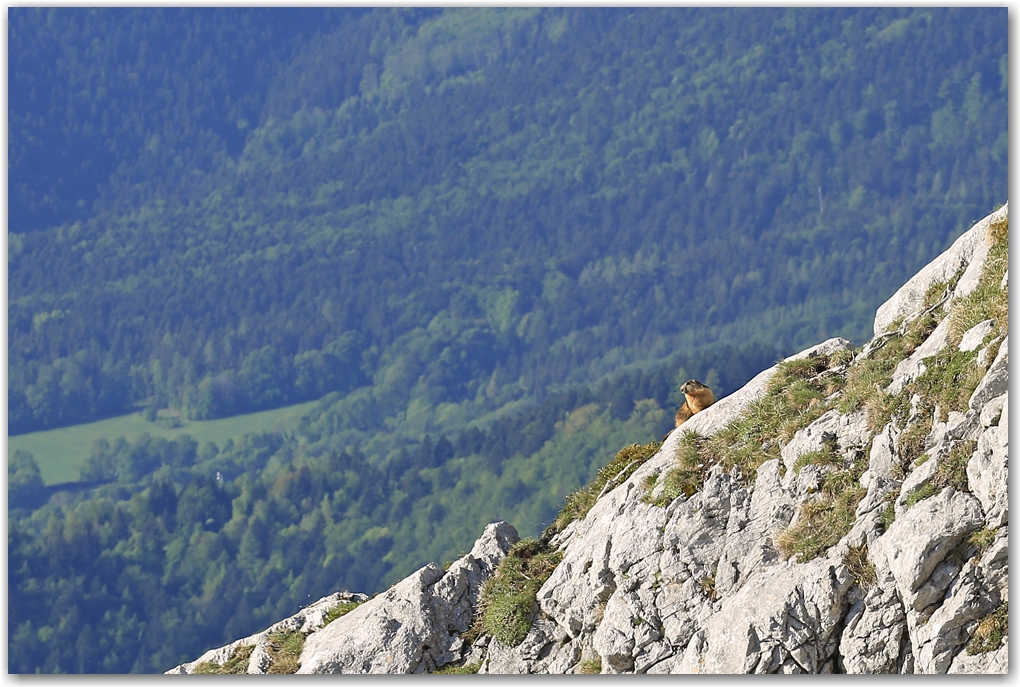 un matin dans le vercors...