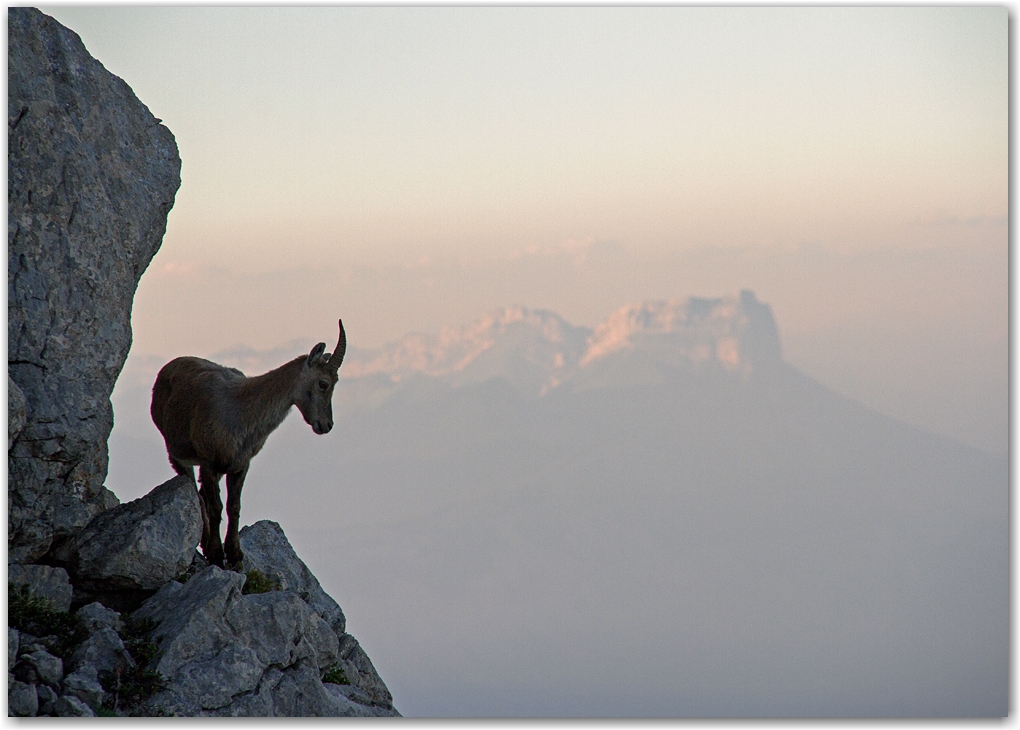 les acrobates du Vercors