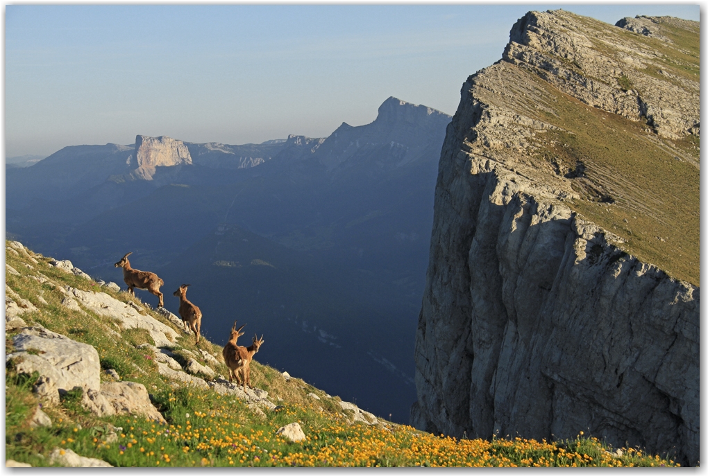 les acrobates du Vercors