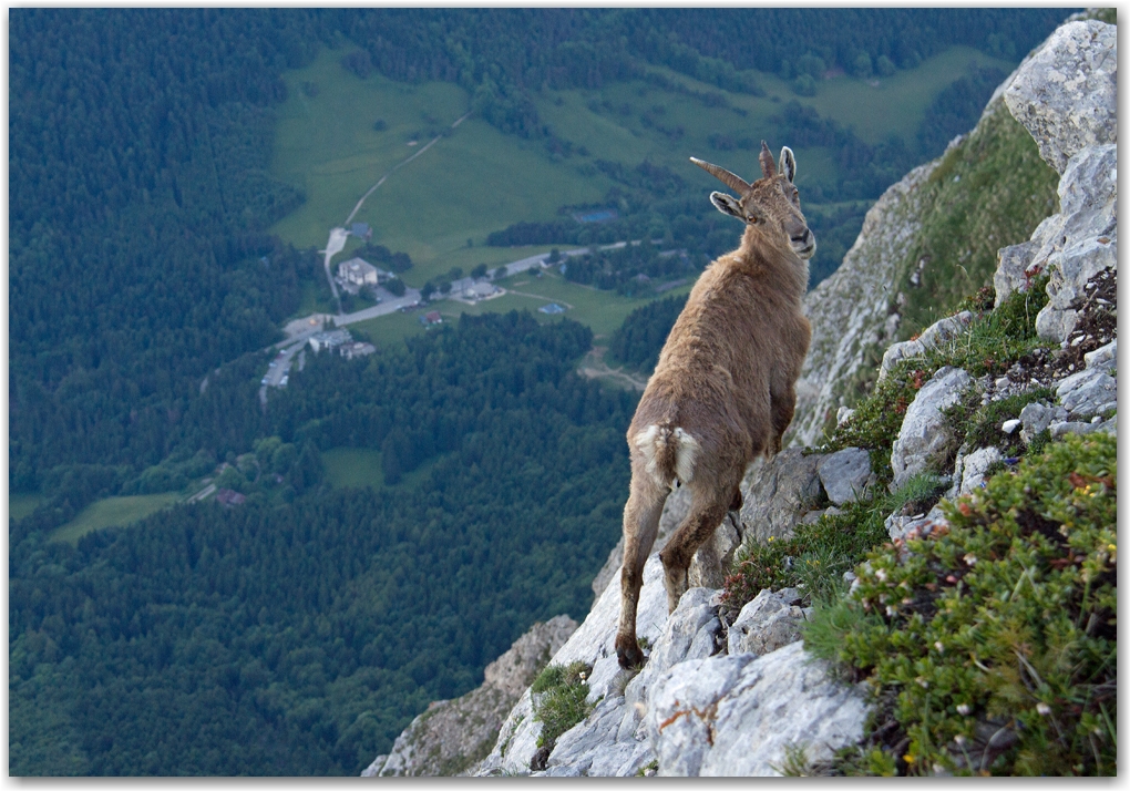 les acrobates du Vercors